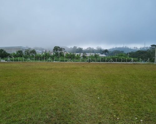 Campo Jardim Luso (10)