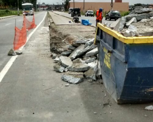 Ciclovia (1)