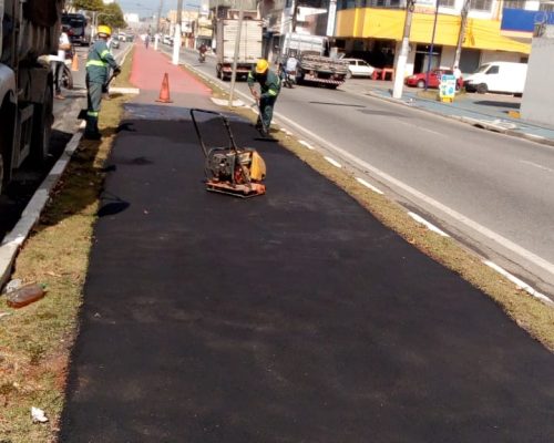Ciclovia (10)