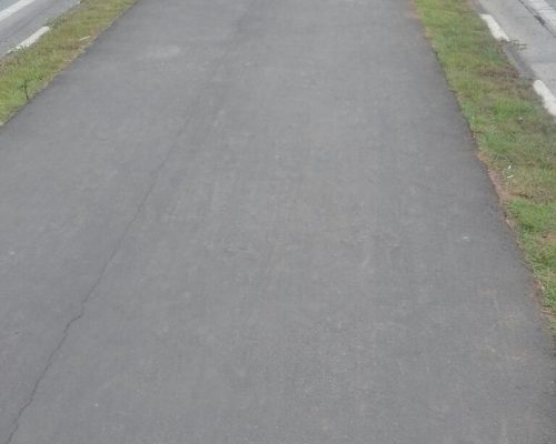 Ciclovia (7)