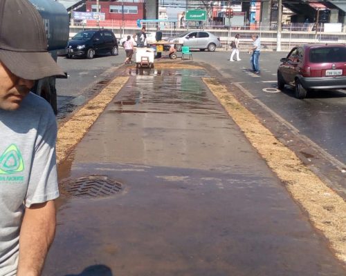 Ciclovia (9)